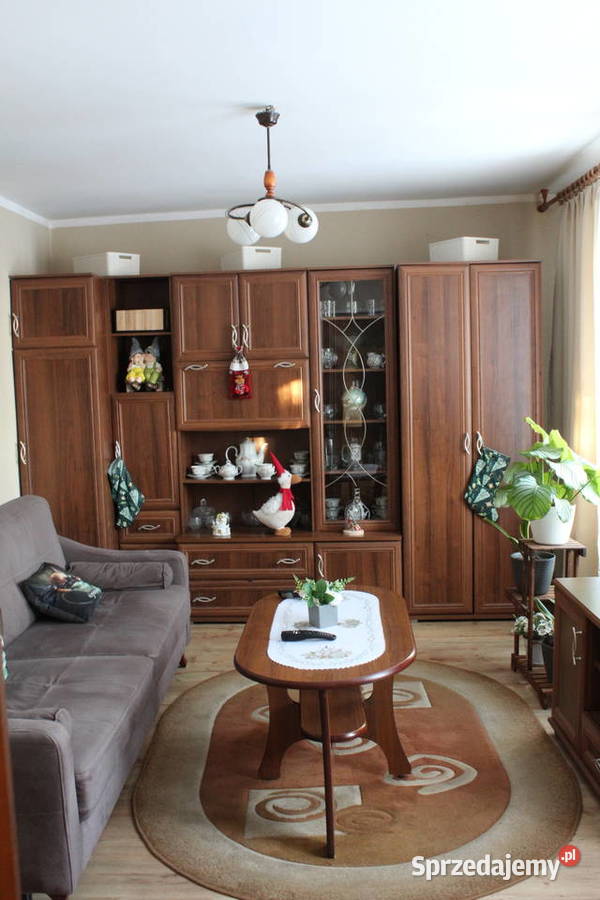 Siedlisko w Silcu dom jednorodzinny na sprzedaż Silec