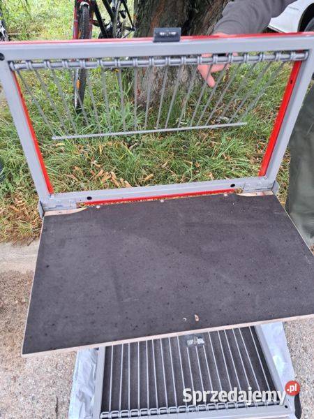 Wlot do gołębnika Płońsk