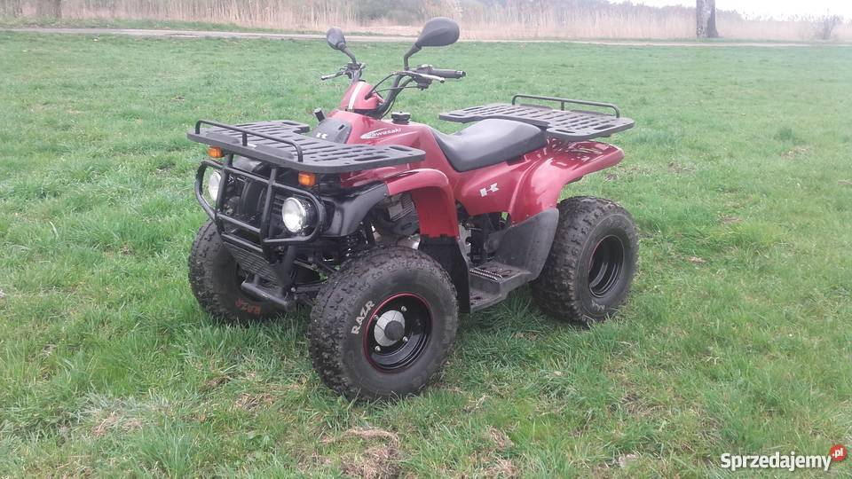 MOTORTEK TM 175 MZ Ostoje sprzedam