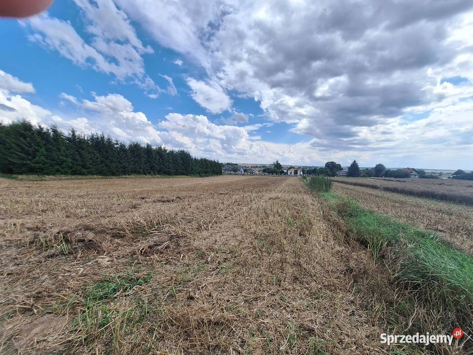 Działki budowlano inwestycyjne DK74 Wielącza Poduchowna