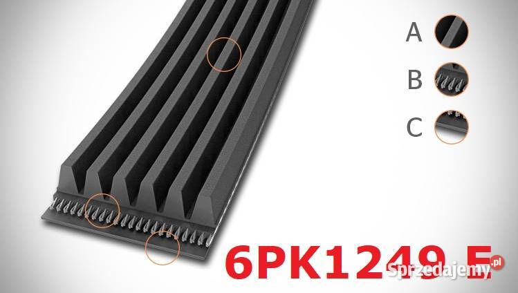 Pask wielorowkowy elastyczny 6PK1249 Continental osobowe wielkopolskie Konin