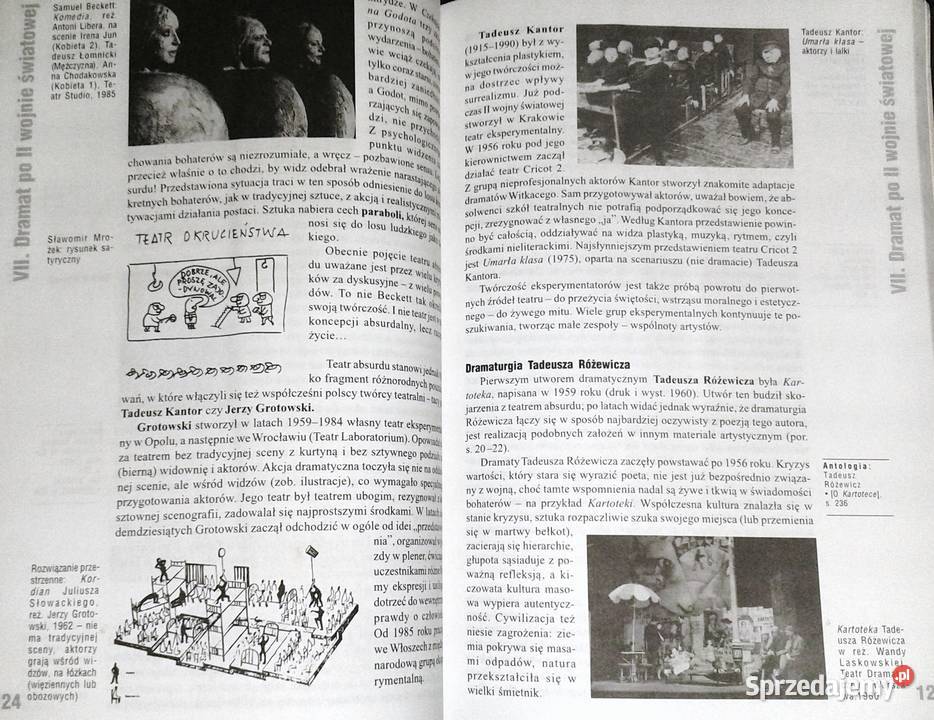 Literatura współczesna Anna Nasiłowska Chełm