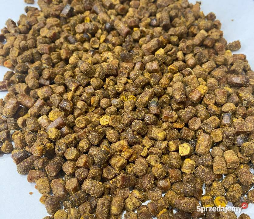 Pierzga Pszczela z własnej pasieki 200g Radzyń Podlaski sprzedam