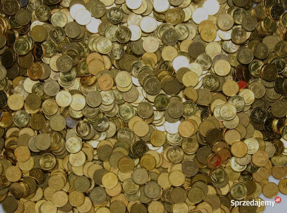 Monety 125 gr z obiegu 1 Szczecin