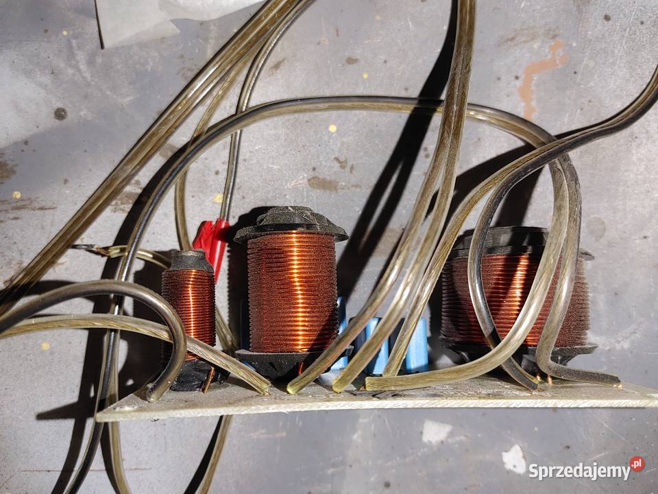 Głosnik zwrotnice Nysa