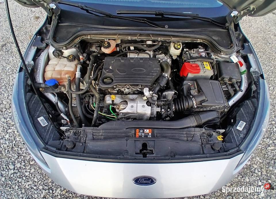 Ford Focus z 2020r Busko-Zdrój