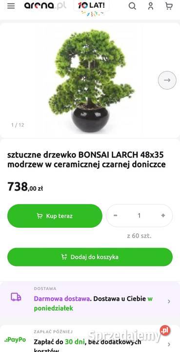 Sztuczny Modrzew Bonsai Larch 60 w ceramicznej Ogród Pabianice