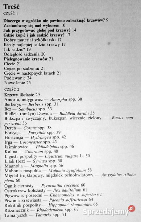 Krzewy ozdobne w ogródku Izabela Kiljańska lubelskie Chełm sprzedam