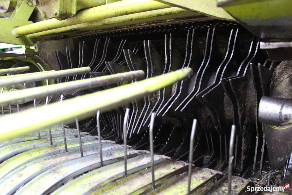 Claas Rollant 46 RotoCut Sokoły