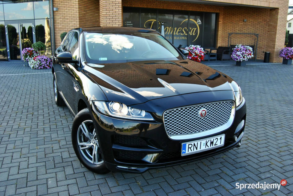 Jaguar FPACE SKÓRA Kamera NAVI Nowe oponyKsenony Modliborzyce