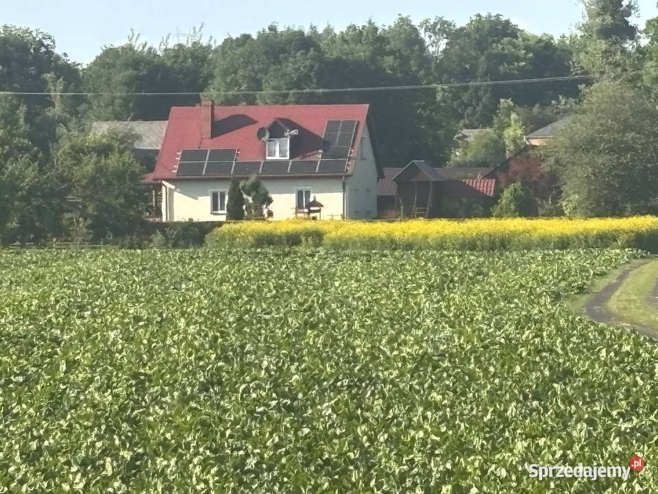 Dom siedlisko lubelskie Średnie Małe sprzedam