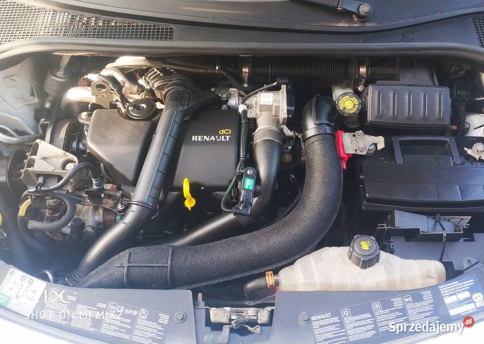 Renault Clio homologacja na ciężarowy Fak Kielce