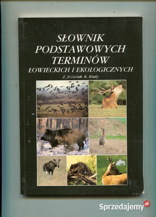 Słownik podstawowych terminów łowieckich i Kultura i Rozrywka Szczecin