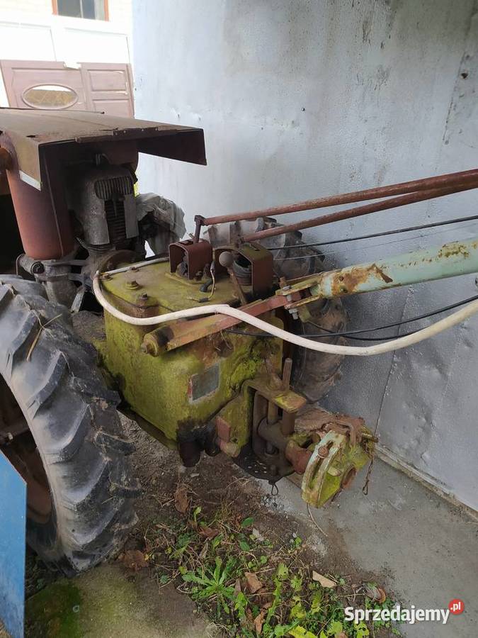 Sprzedam ciagniczek dzika 21 dzika 2 Przeworsk