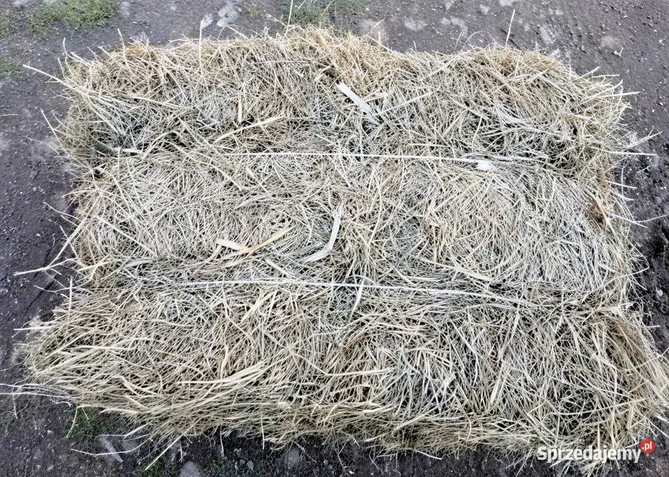 Siano w małej kostce podściółka zwierząt podłoże Łuków