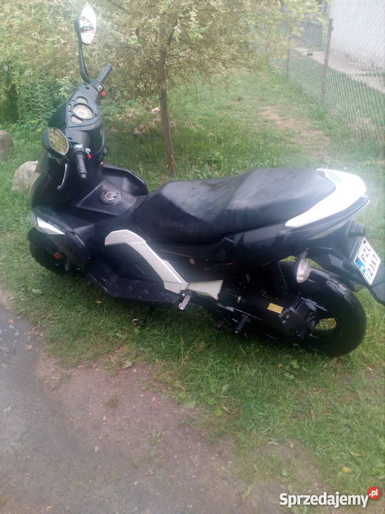 Zumico Avatar wielkopolskie Okonek