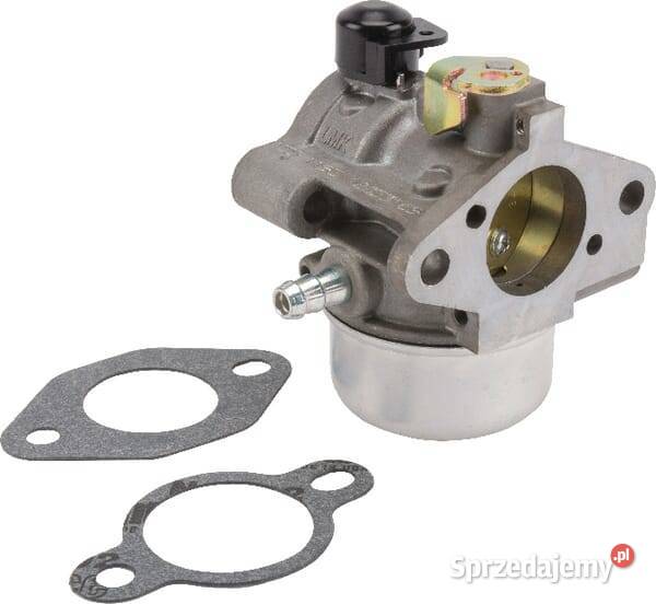 Zestaw gaźnika 12853169S