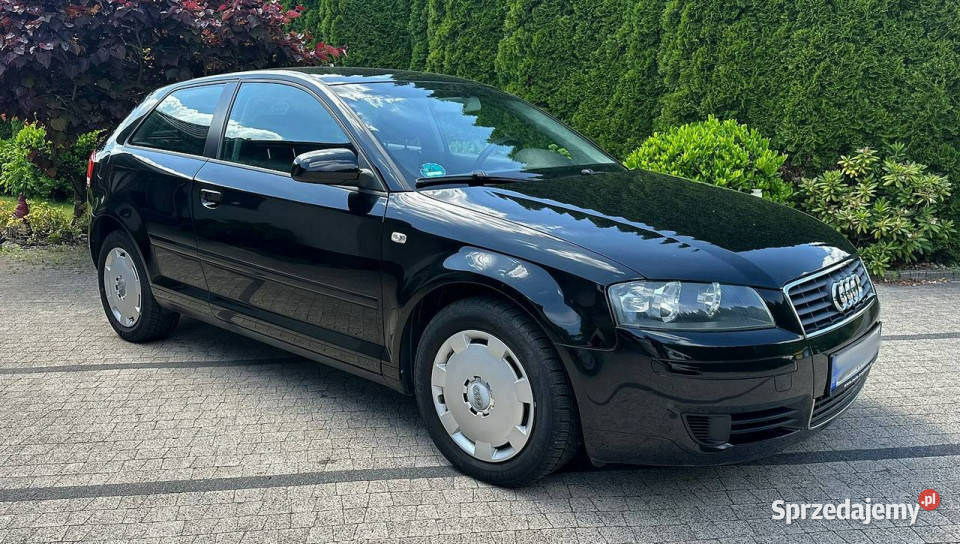 Audi A3 3drzwiowe Audi A3 8P 16 MPI 101 Czarna benzyna Wrocław