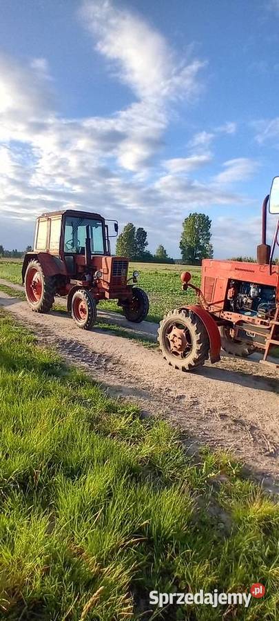 Mtz belarus 82 4x4 550 4x2 Belarus Ciągniki wielkopolskie Osówka