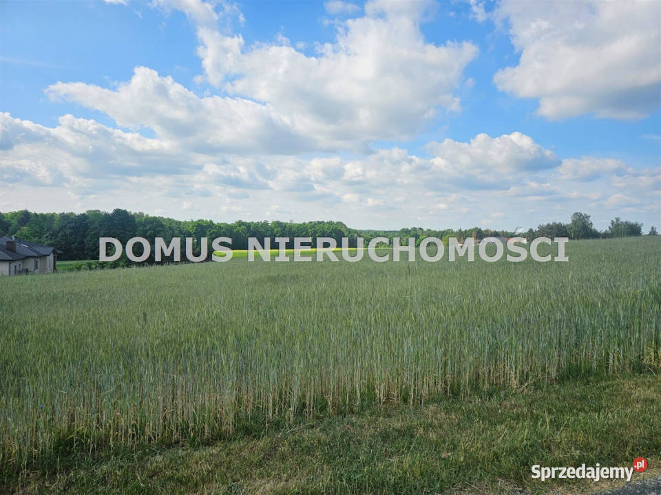 sprzedaży gruntu Tworzyjanki 3000m2 3000m2