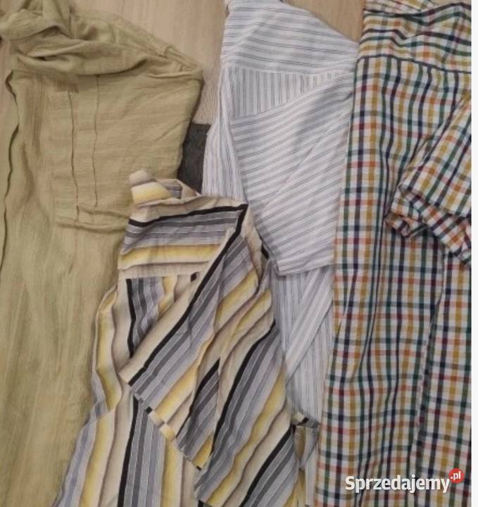 Koszule koszula Sulęcin