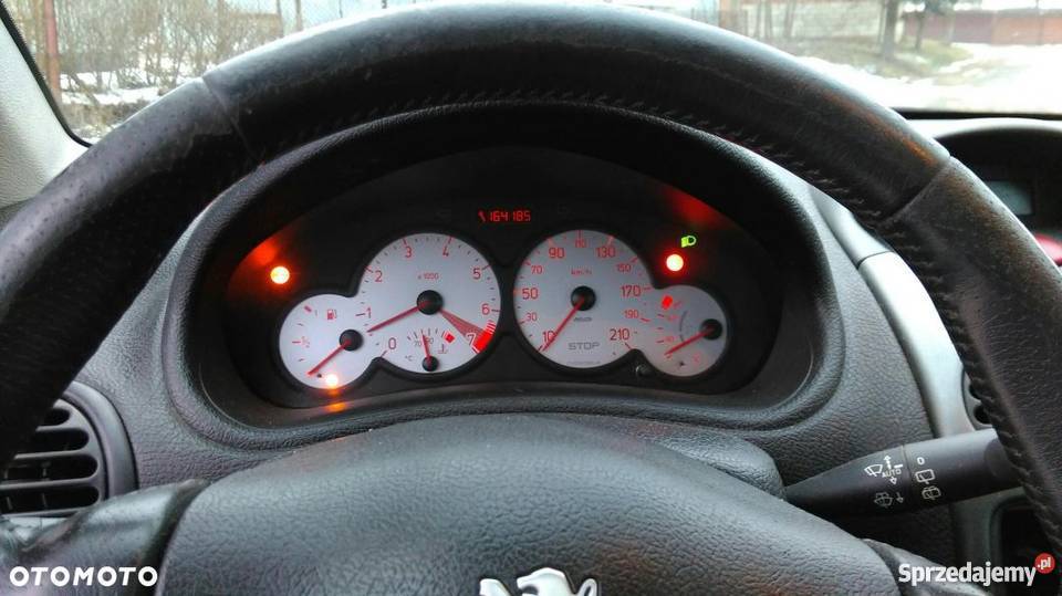 Peugeot 206 GT Limitowana edycja Tczew