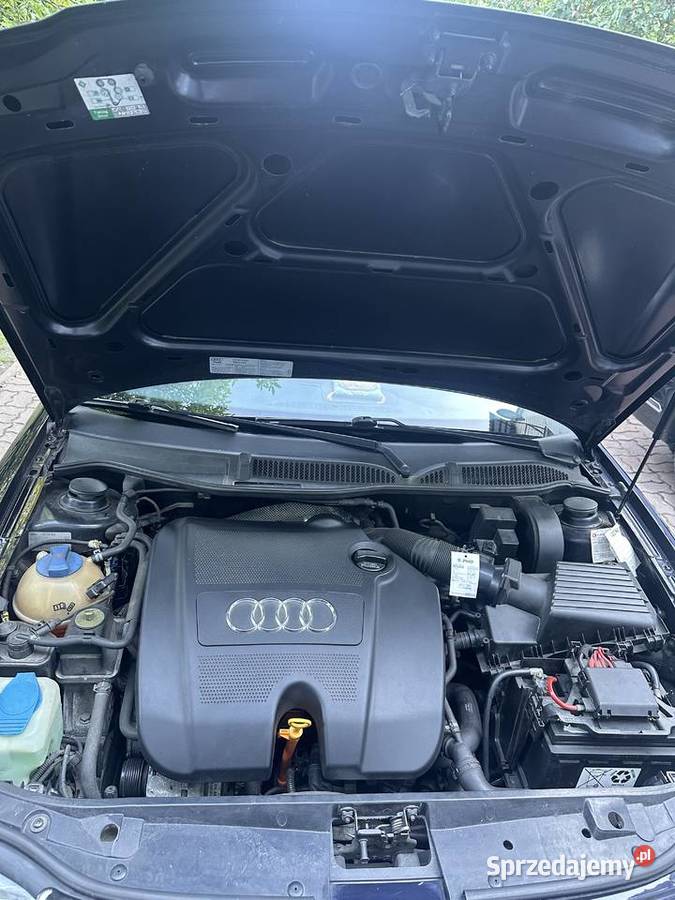 Audi A3 16i 2002r A3 Siedlce