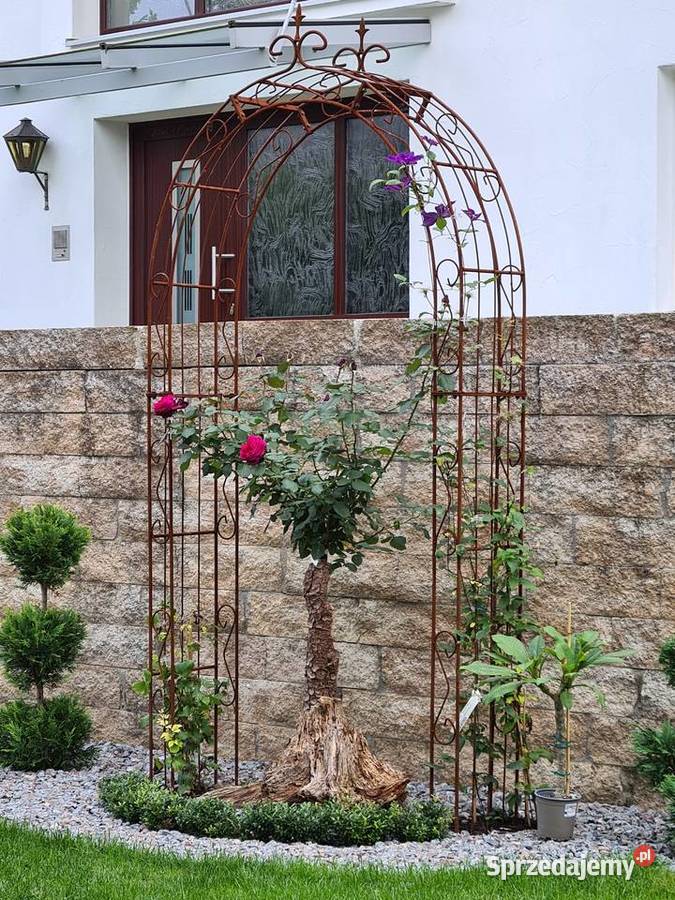 Pergola Ogrodowa Łuk Różany Łuk Bluszcz Róże