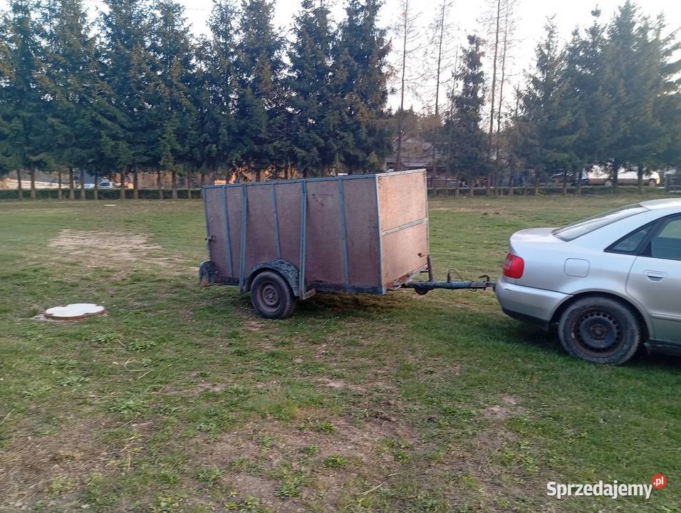 Przyczepa lekka 650 Florynka