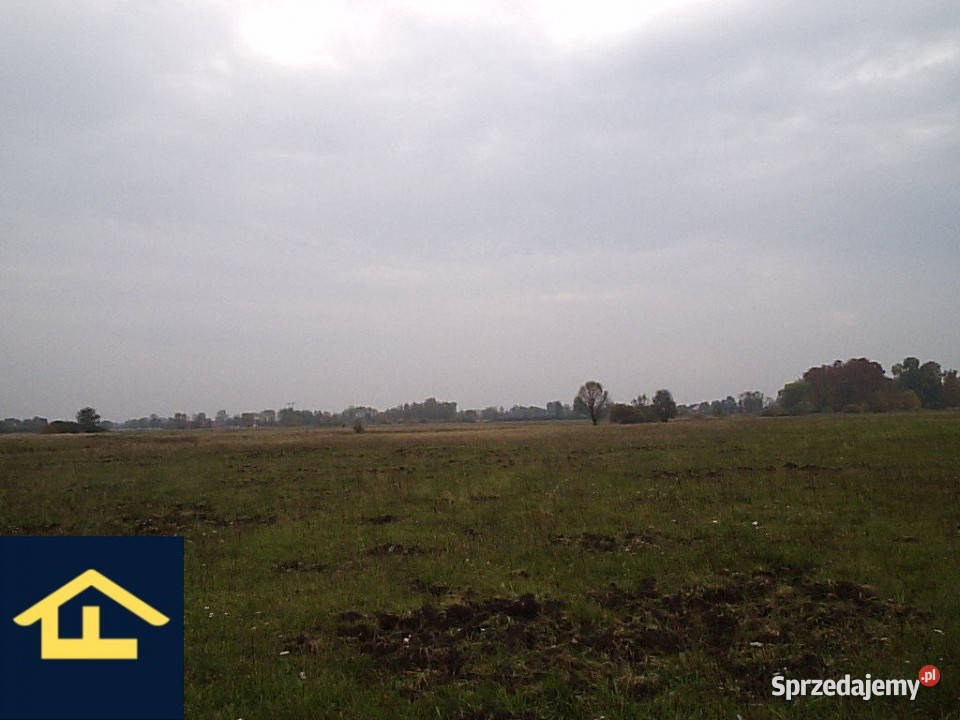 Działka w Całowaniu Całowanie