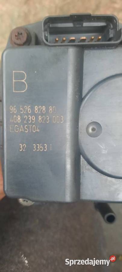 Przepustnica Peugeot 307 20 benzyna 16v Łódź