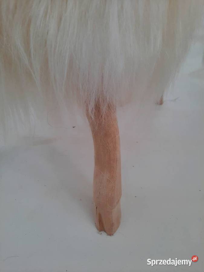 Baran Dekoracyjny Obity Naturalną Skórą Owczą małopolskie Szaflary sprzedam