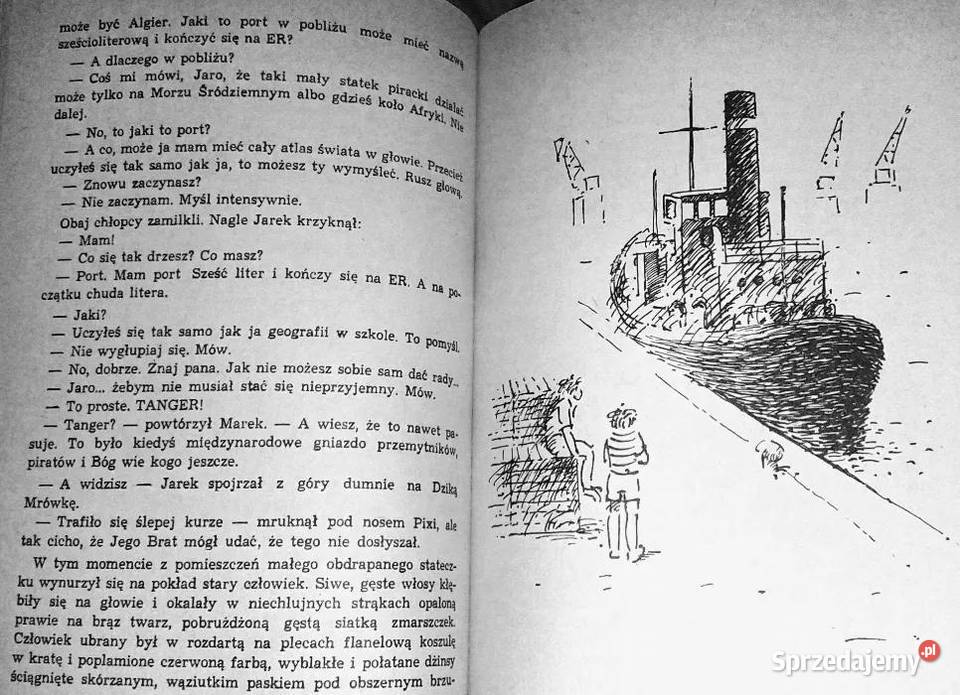 Dzika Mrówka i tam tamy Andrzej Perepeczko Chełm