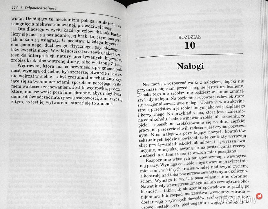 Siedlisko duszy Gary Zukav Rok wydania 1997 Pozostałe Chełm