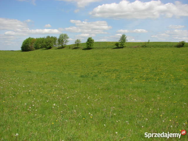 Działka na Mazurach z prywatnym dostępem do 988m2 Elganowo sprzedam