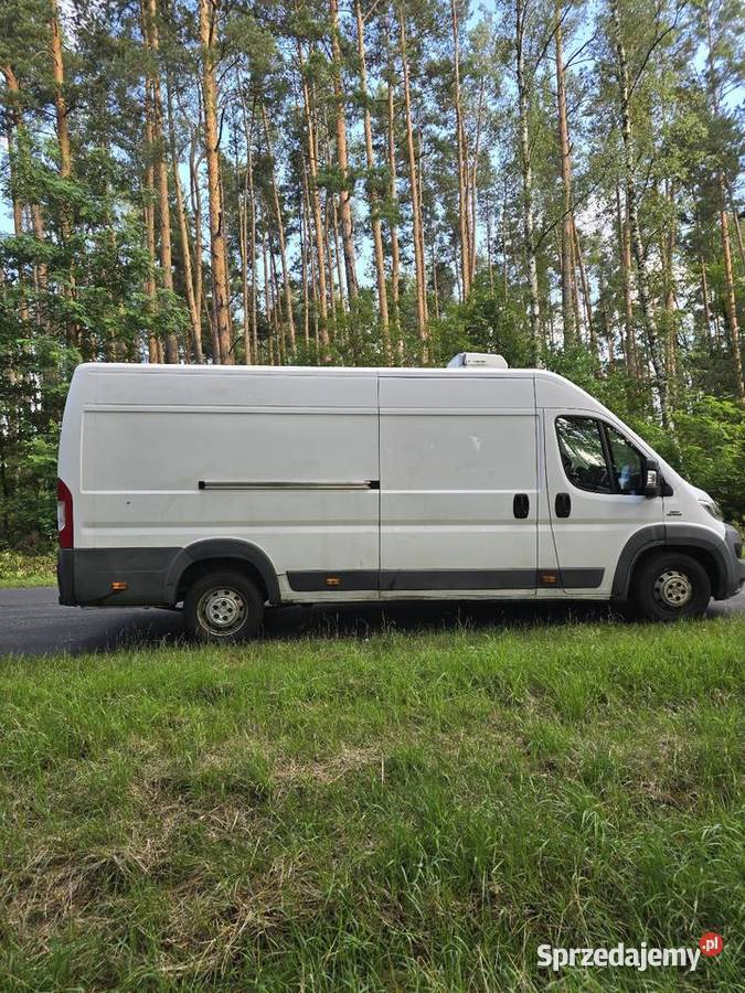 Fiat Ducato 23 Mutijet 2016r chłodnia FV23 biały Nowe Miasteczko