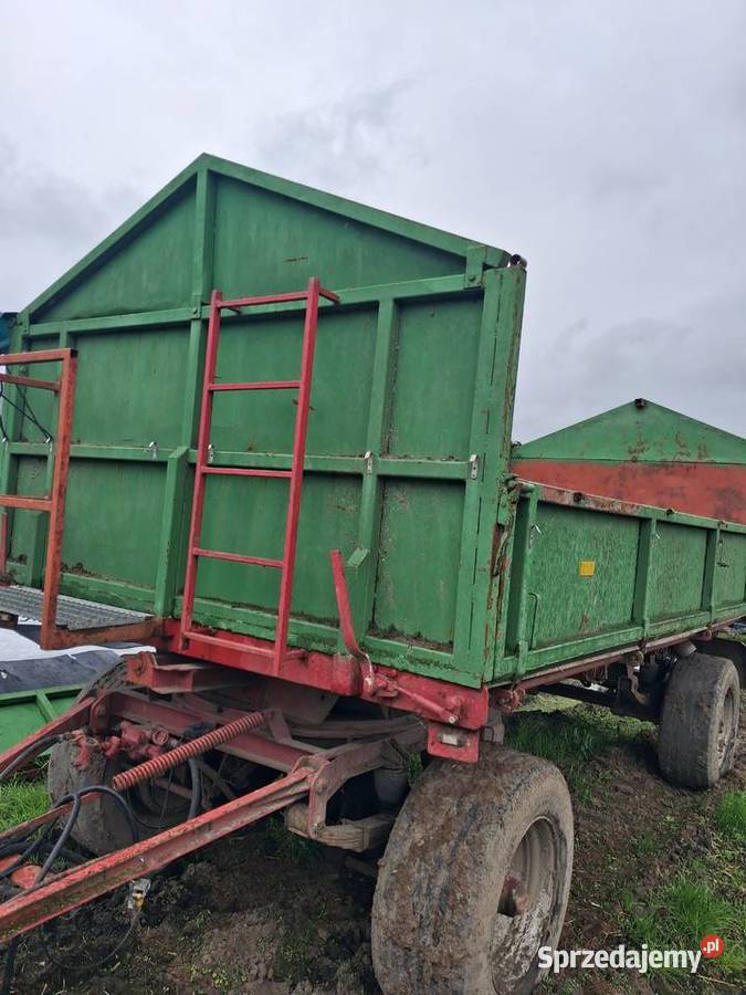 Przyczepa hl 8011 Gostyń