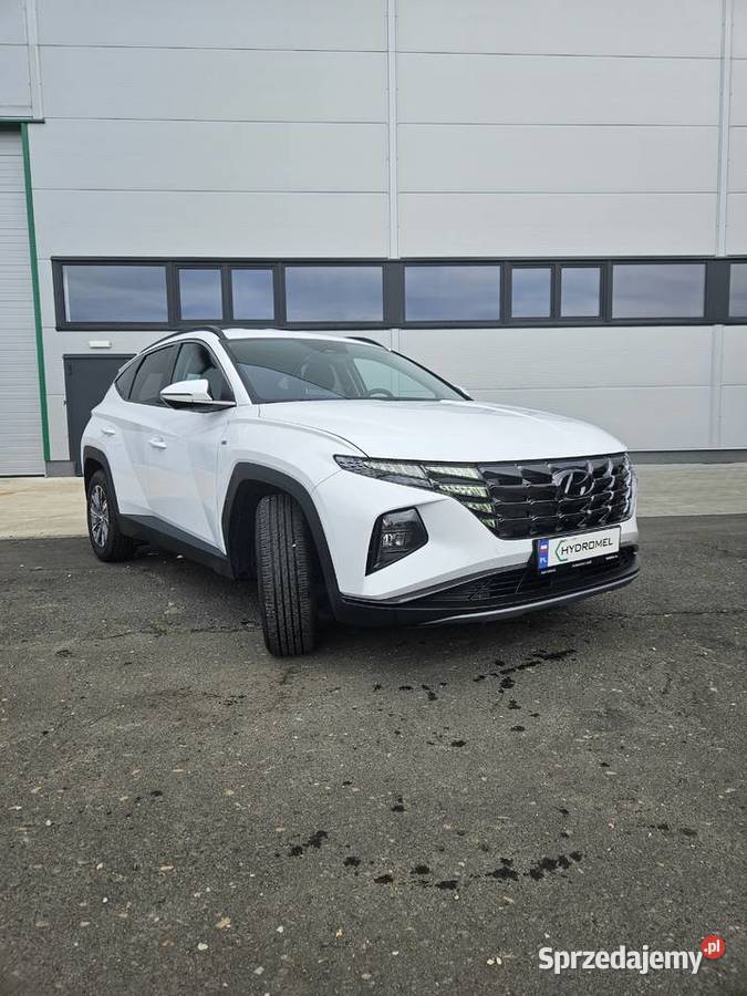 Hyundai Tucson IV 16 2023 nieuszkodzony Siemianowice Śląskie