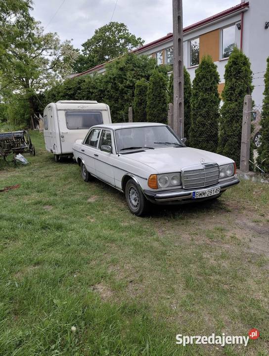 Niewiadów N126 przyczepka kempingowa podlaskie Ciechanowiec
