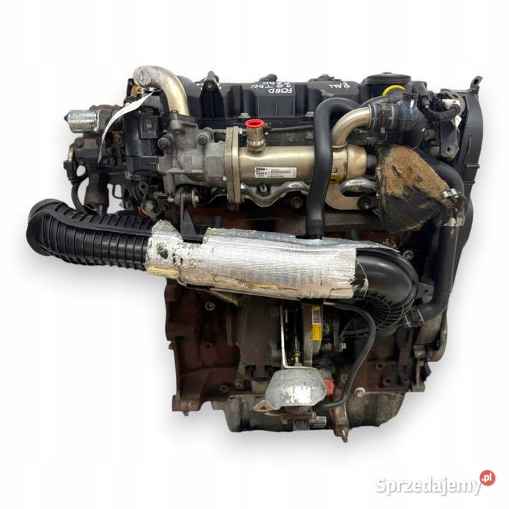 SILNIK G6DD Ford C C Focus MK2 20 TDCI 136 lubelskie Chełm