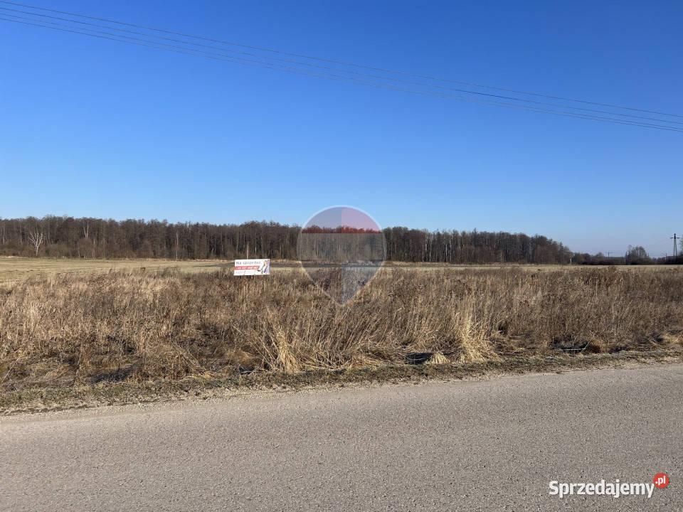Działka inwestycyjna 2400 m2 Dąbrówka Zabłotnia