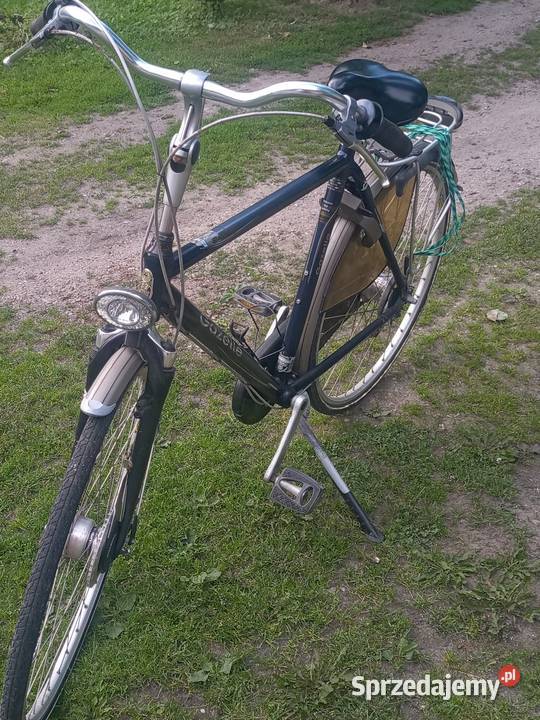 Rower męski gazelle
