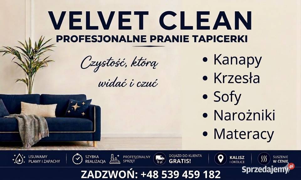 Profesjonalne czyszczenie tapicerki meblowej Kalisz