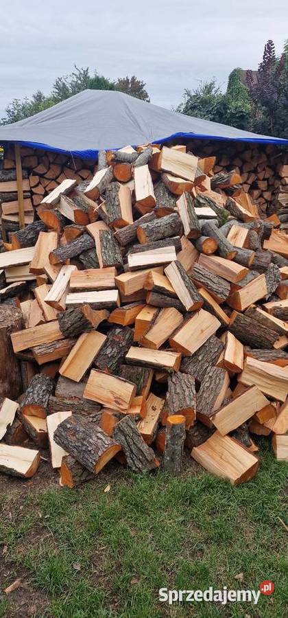 Olszyna Olcha Drewno Opałowe Dowoz Porabane Augustów