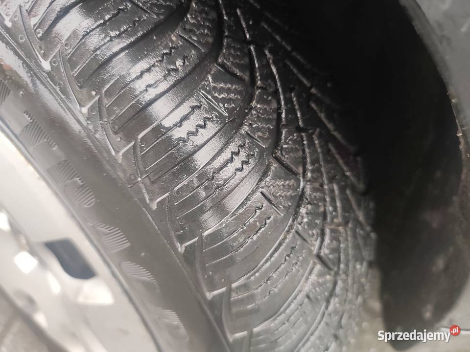 Audi A6 C5 19 TDI Grobniki