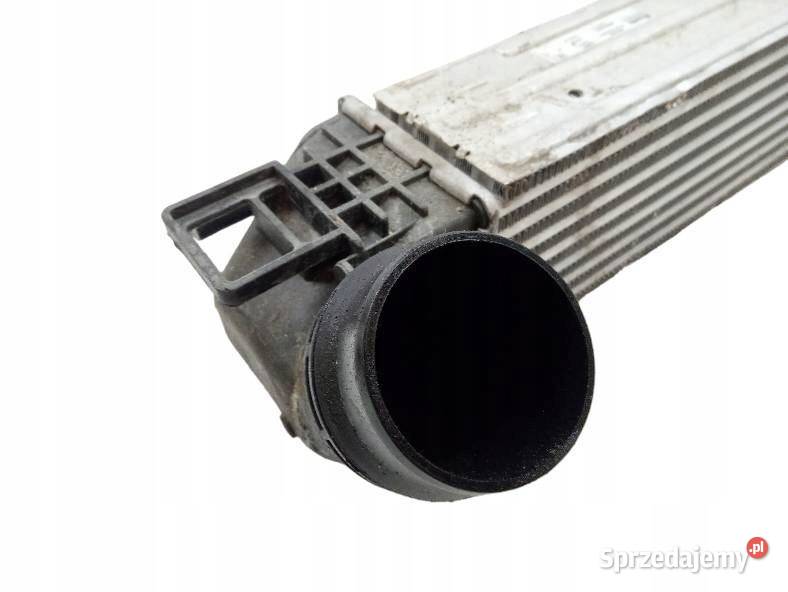INTERCOOLER CHŁODNICA 19 DCI Renault Scenic III Układ chłodzenia świętokrzyskie