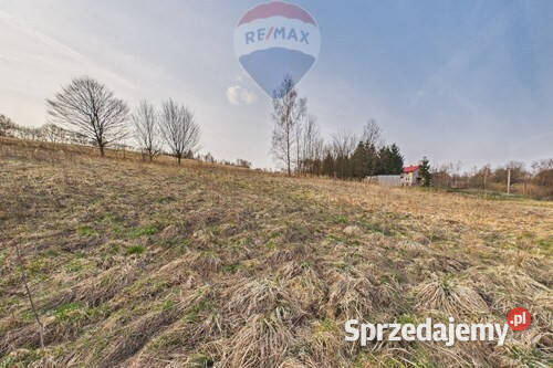 DOM WOLNOSTOJĄCY NARAMA DUŻA DZIAŁKA mieszkalny