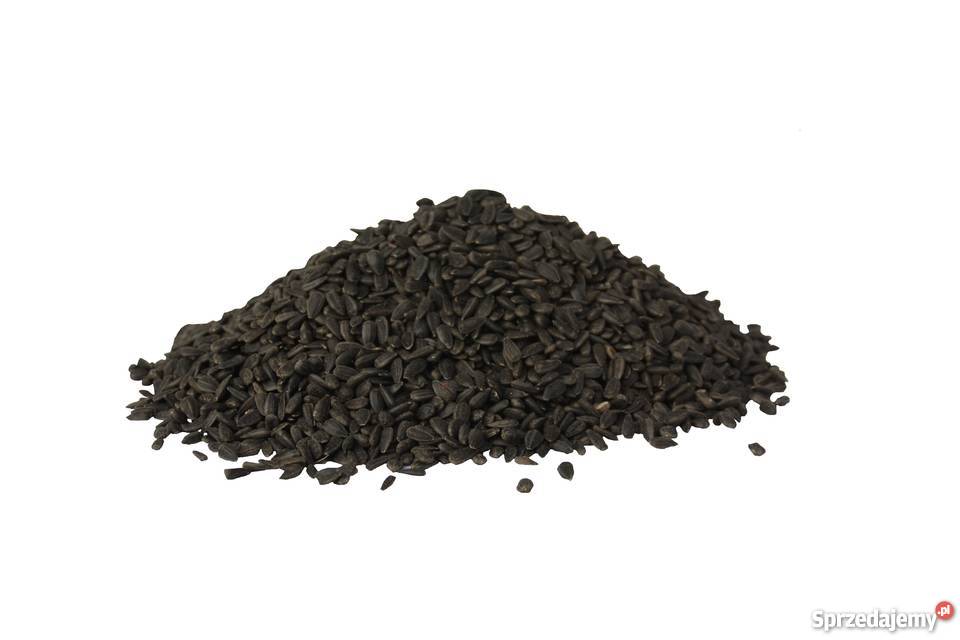 Słonecznik CZARNY Drobny CZYSTY 30 karma ptaków