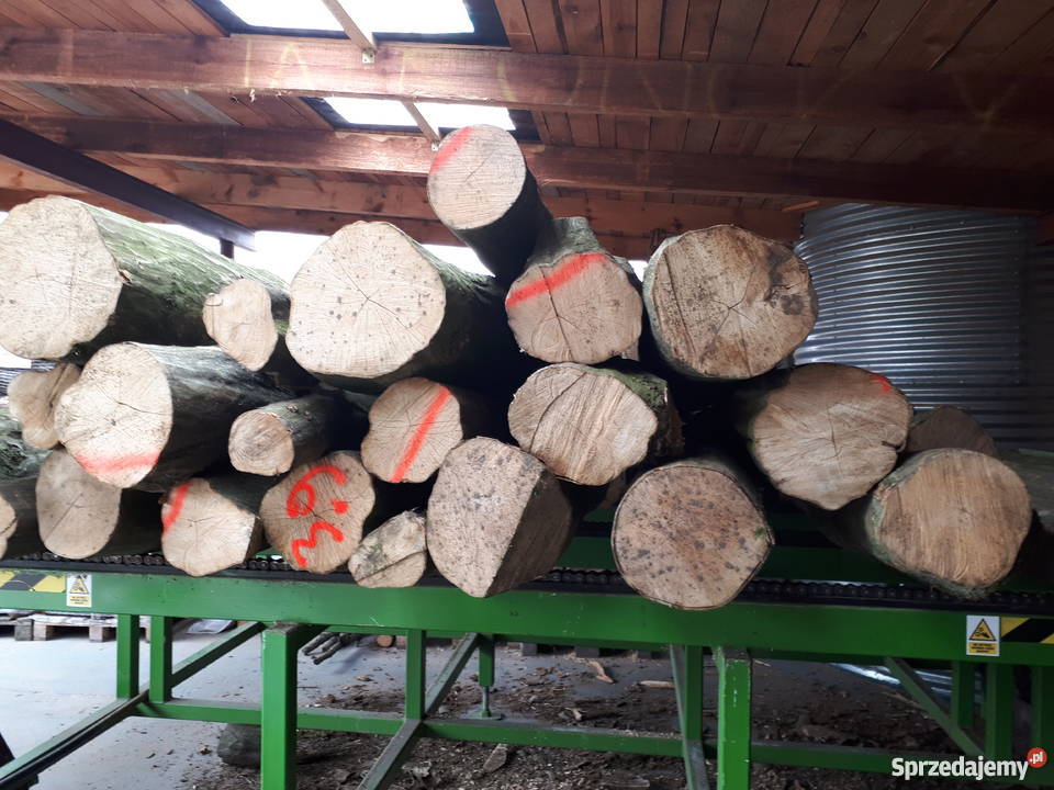 Drewno kominkowe Luboń