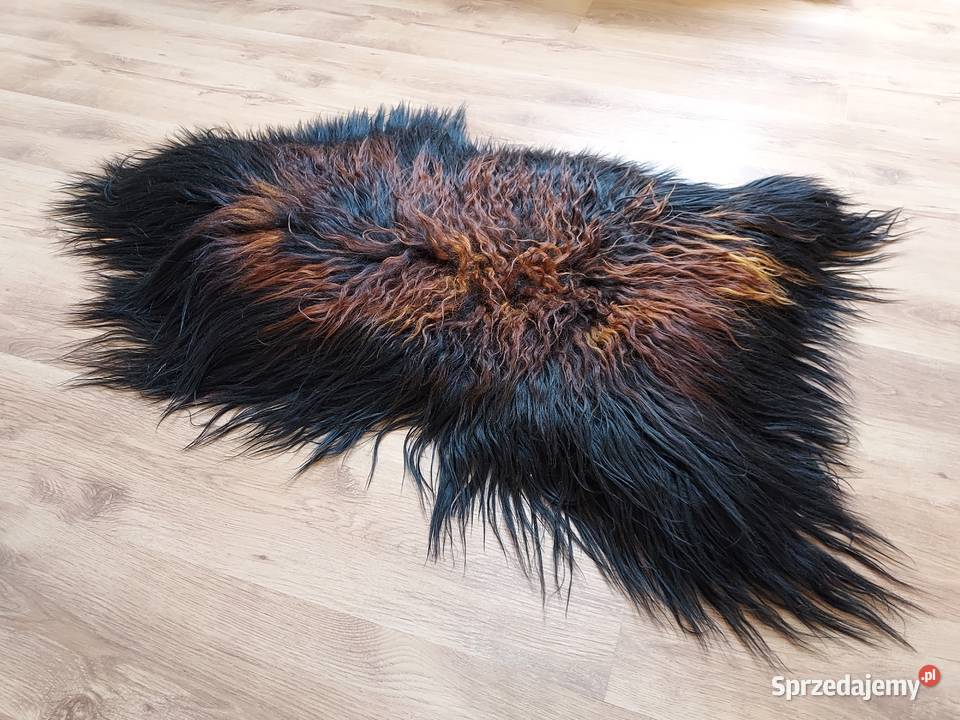 Skóra Owcza Naturalna Islandzka Kręcony Włos Szaflary